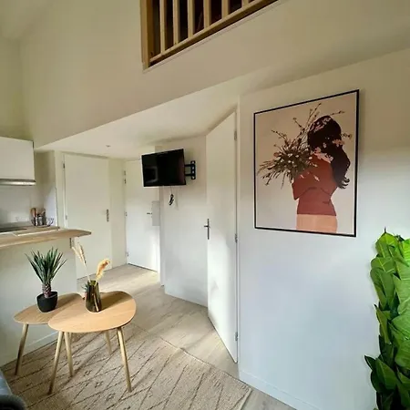 L'apparte Saint Michel - T1bis - Metro - Tram Toulouse