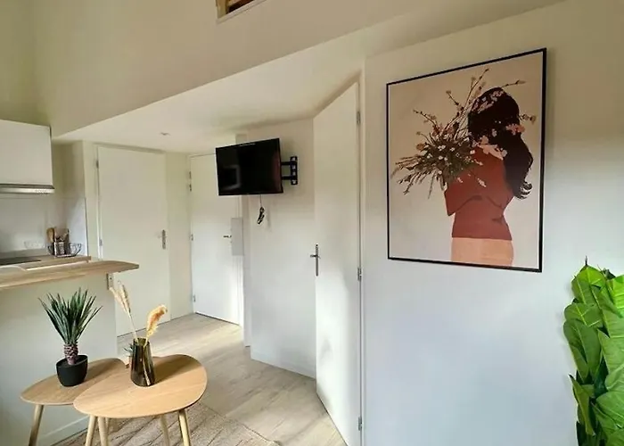 L'apparté Saint Michel - T1bis - Métro - Tram Toulouse